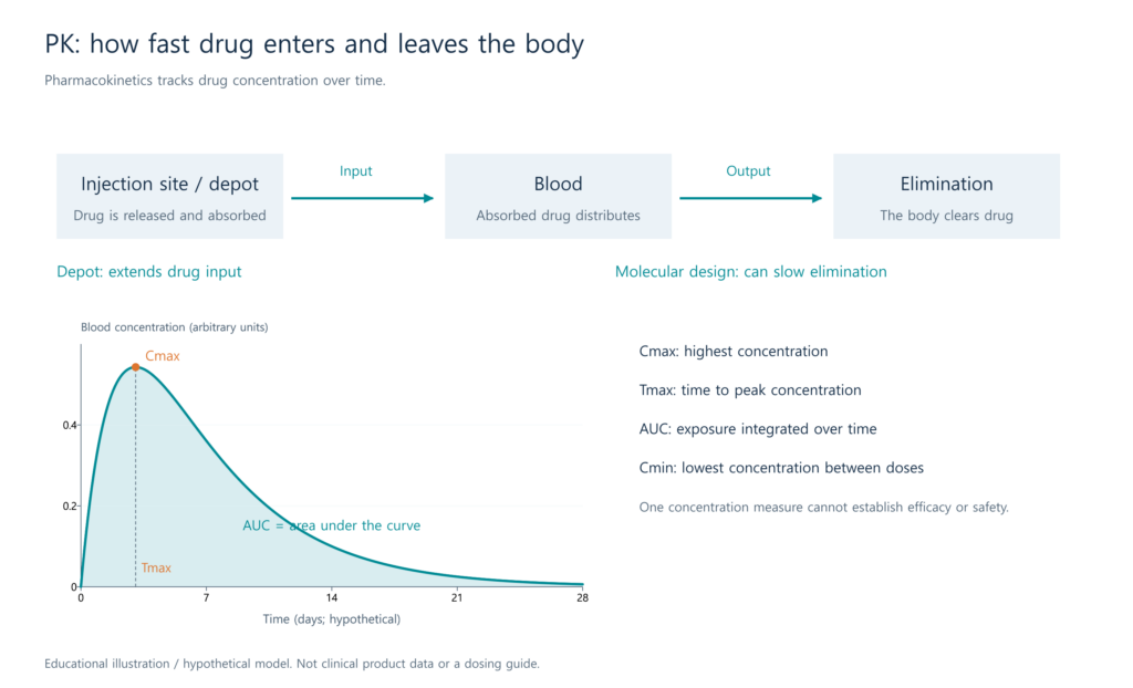 Drug input and elimination, with definitions of Cmax, Tmax, and AUC