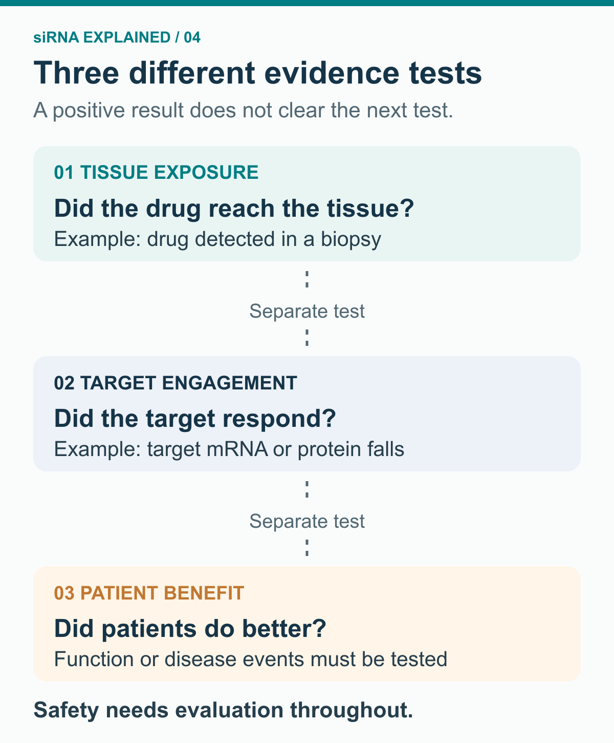 Three separate evidence checks ask whether a drug reached tissue, affected its molecular target, and improved patient outcomes. Dotted separators emphasize that one result does not guarantee the next; safety is evaluated throughout.